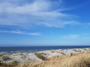 Spiekeroog Austernfischer Ferienhaus- Wind und Weite